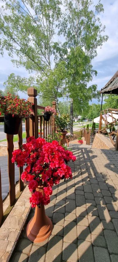 Lesne Klimaty Apartment Polańczyk Екстериор снимка