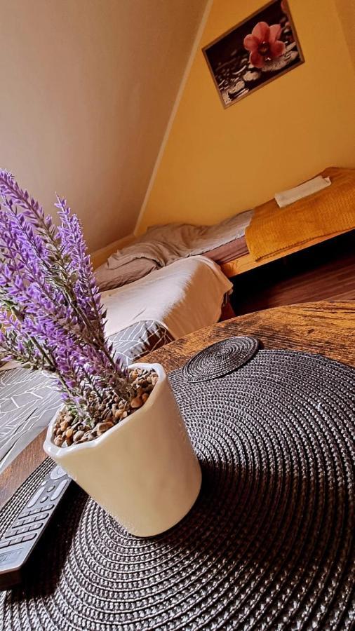Lesne Klimaty Apartment Polańczyk Екстериор снимка